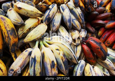 banana fruits from africa as nice food background Stock Photo