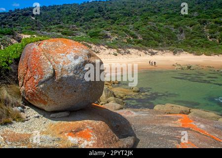 Hikers on a beach near Palana, Flinders Island Stock Photo