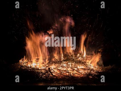 Branches on fire. Flames and sparkles on black background. Stock Photo