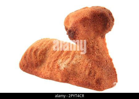 Easter lamb cake traditional czech food isolated on white background Stock Photo