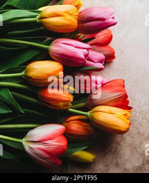 Overhead macro view of colorful tulip flowers on beige surface. Stock Photo