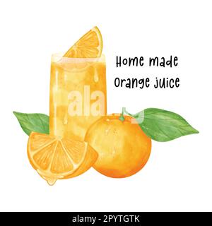 Set of a glass of fresh homemade orange juice with orange fruit watercolour illustration vector isolated on white background. Stock Vector