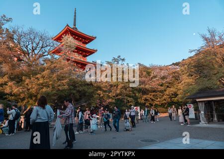 KYOTO, JAPAN - April 3, 2023: Tourist walking in Kiyomizu-dera temple Stock Photo