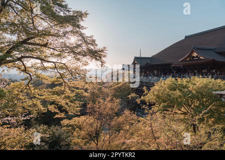 KYOTO, JAPAN - April 3, 2023: Kiyomizu-dera temple terrace view point in the afternoon Stock Photo