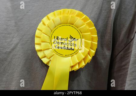 Hereford, Herefordshire, UK – Friday 5th May 2023 – A Liberal Democrats candidate rosette worn by a potential councillor as election staff count votes in Hereford after yesterdays local election in England. Across England over 8,000 local council seats are being contested in 230 councils. Photo Steven May / Alamy Live News Stock Photo