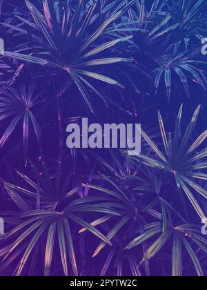 tropical exotic leaf  background, jungle in purple and blue neon glow, toned Stock Photo