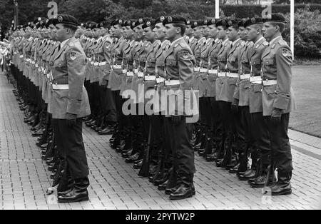 Soldiers of the guard battalion of the German Bundeswehr stands next to ...