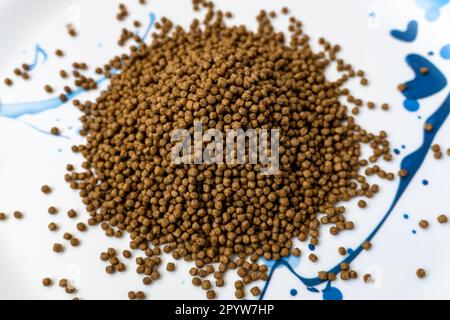 The Feed for catfish at the end of the nursery stage and the beginning of the growing stage. Pile of compound feed small round isolated on white plate Stock Photo