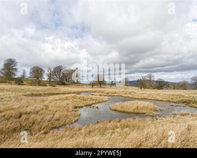 A flooded former clay pit on Magpie Hill, Clee Hill Common, Shropshire Stock Photo