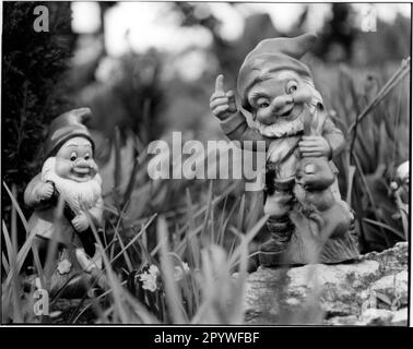 Mythology, dwarves: Garden gnomes with a hare (hunter) and with a shovel (gardener). Germany, Southern Black Forest. Photo, black and white, 1995. Stock Photo