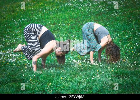Sports yoga with female couple practiced in a flowery meadow Stock Photo