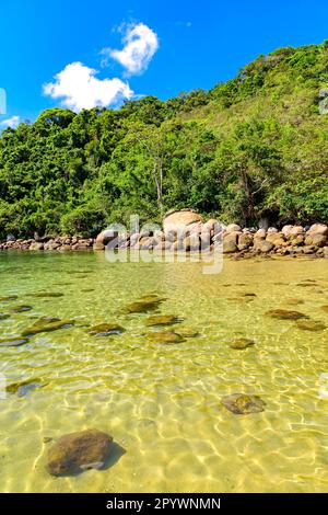 Paradisiacal scenery with the meeting of transparent waters of the sea of Ilha Grande in Angra dos Reis with the tropical forest, Ilha Grande, Angra Stock Photo
