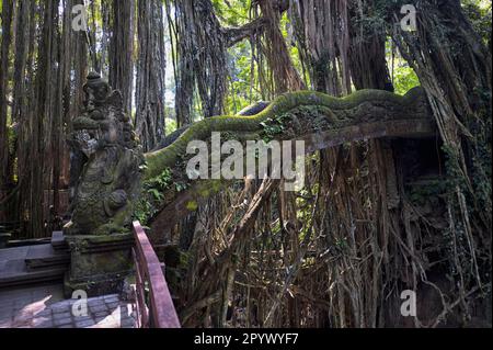Stone Bridge, Sacred Monkey Forest, Ubud, Bali, Indonesia Stock Photo
