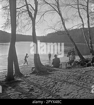 Photo of a group of trippers at a lake near Berlin, presumably in the summer of 1936. In the front on the sandy beach, two elderly men. In the background, two swimmers are coming out of the water. Stock Photo
