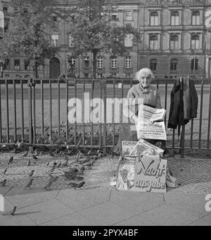 'Undated photo of an old woman selling evening newspapers and magazines in Berlin. The lady advertises her goods (8 Uhr Abendblatt, Nachtausgabe, Deutsche Illustrierte, Die Koralle newspapers) with a cardboard sign, which says: ''Nachtausgabe'' (final edition). Her jacket is hanging on a fence. During the sale, the old lady feeds sparrows (left).' Stock Photo