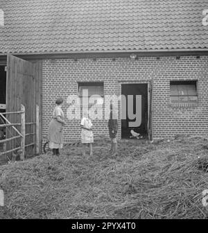 Farm near Neustrelitz (Koppelhof). A peasant woman and her two children are standing on a haystack and watch a hen with her chicks. Undated picture. Stock Photo
