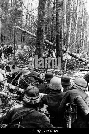 Stalin Line Position German soldiers fighting for Russian positions along the Stalin Line ...