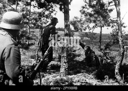 German infantrymen capture a Russian soldier. Photo: Herber. [automated translation] Stock Photo