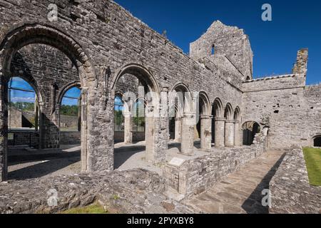 Ireland, County Roscommon, Boyle, The Cloister of Boyle Abbey which was founded in 1161 by Cistercian monks. Stock Photo