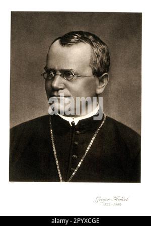 Gregor Johann Mendel (1822-1884), Austrian Augustinian priest, teacher, and hereditary researcher. Mendel discovered Mendel's laws for the inheritance of simple traits, named after him, during crossbreeding experiments on peas and beans in 1865. Photograph around 1868. Photo: Heliogravure, Corpus Imaginum, Hanfstaengl Collection. [automated translation] Stock Photo