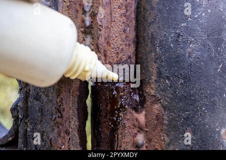 rusty gate hinge is lubricating with oil from plastic oiler close up outdoors Stock Photo