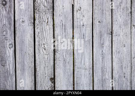 shabby white painted planks of old wooden fence outdoors Stock Photo
