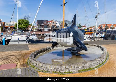 Fountain in the form of an orca killer whale in the harbor of Urk, Netherlands Stock Photo