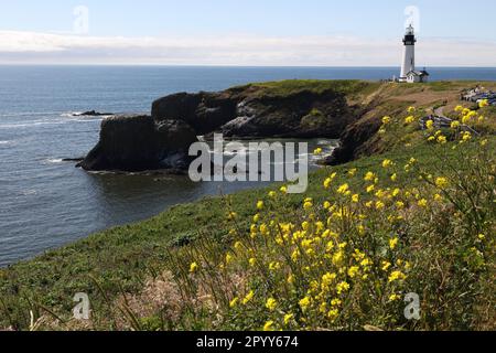 An idyllic view of the Yaquina Bay Lighthouse in Newport, Oregon Stock Photo