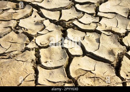 Infertile land burned by the sun: famine and poverty concept Stock Photo