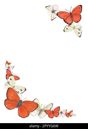 Watercolor celebration rectangle frame with orange and white butterflies isolated on white background . Illustration for greeting, birthday cards Stock Photo