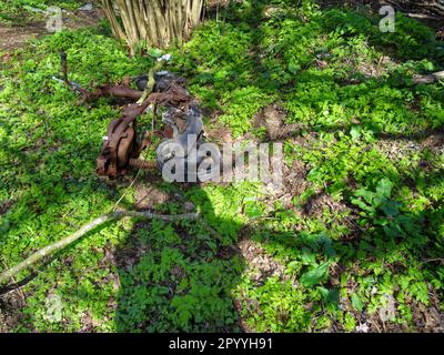 Natural intimate landscape demonstrating the colours, patterns and textures in the found environment Stock Photo