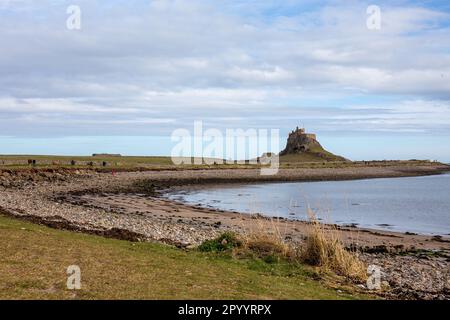 Lindisfarne Castle, a 16th-century fortress located on the Holy Island of Lindisfarne, England Stock Photo