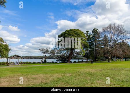 Parkland at speers point a suburb of Newcastle on a sunlit day the grass is green and water is behind trees Stock Photo