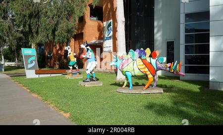 Moooving Art Outside the Shepparton Council Offices, part of the tourism display Stock Photo