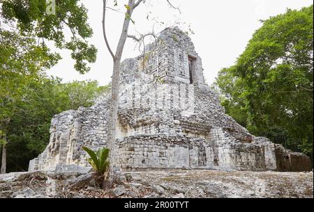 The Mayan Ruins of Chicanna in Campeche, Mexico, Best Known for its Huge Earth Monster Building Stock Photo