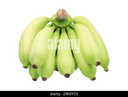 Comb of raw cavendish bananas isolated on white background Stock Photo