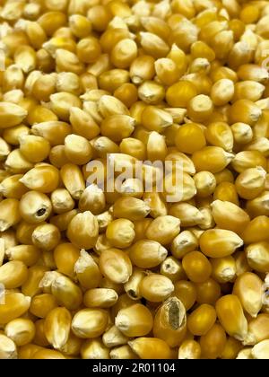 Heap of raw popcorn grains. Dry yellow corns seeds or sweetcorn kernels. Close up Stock Photo