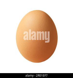 Chicken Egg Isolated on White Backdrop Stock Photo