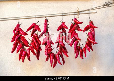 Sun drying chili peppers on a wall in Pianella, Italy Stock Photo