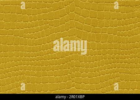 Yellow reptile skin. crocodile leather texture background Stock Photo