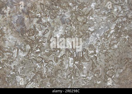 Background of brown polished stone texture with abstract pattern, for design, uneven surface. Copy space. Selective focus. Stock Photo