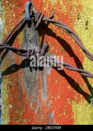 Macro photography of two pieces of old rusted barbed wire nailed to a colorful wooden post, captured in a farm near the town of Arcabuco in the centra Stock Photo