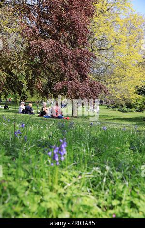Spring sunshine for the early May Bank Holiday weekend, in St James's Park, central London, UK Stock Photo