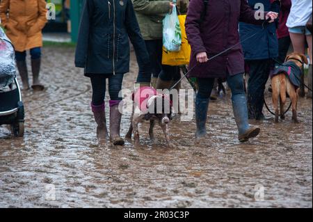 Bristol, UK. 06th May, 2023. 6th May 2023. wet and muddy conditions on Day 2 of the 2023 Badminton Horse Trials presented by MARS at Badminton House near Bristol, Gloucestershire, England, United Kingdom. Credit: Jonathan Clarke/Alamy Live News Stock Photo