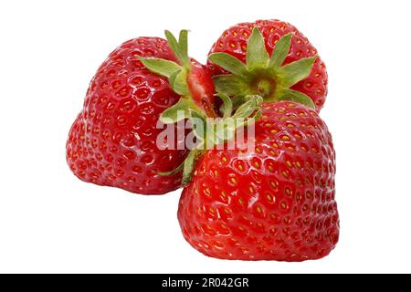 Strawberries. Juicy and fresh strawberries isolated on white background. Strawberry. Stock Photo