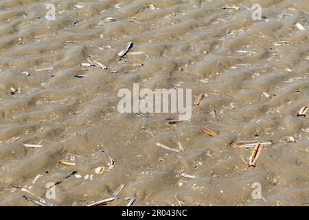 Background image of the sea at the frisian island, Beaches in Europe Stock Photo