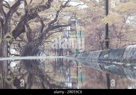 infrared image scene of the stagnant pool of water by the sidewalk of the park Stock Photo