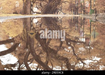 infrared image scene of the stagnant pool of water by the sidewalk of the park Stock Photo