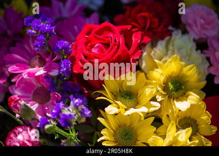 Ostrowo, Poland. 01st May, 2023. Flowers and bouquets are for sale in a flower store. Mother's Day this year falls on May 14. Credit: Fernando Gutierrez-Juarez/dpa/Alamy Live News Stock Photo