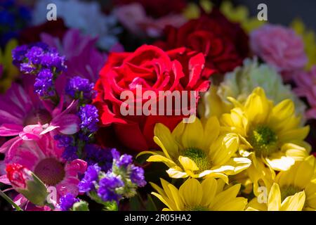 Ostrowo, Poland. 01st May, 2023. Flowers and bouquets are for sale in a flower store. Mother's Day this year falls on May 14. Credit: Fernando Gutierrez-Juarez/dpa/Alamy Live News Stock Photo